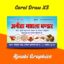 Masala Visiting Card Design